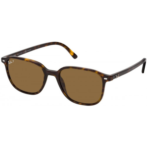 Ray-Ban Leonard RB2193