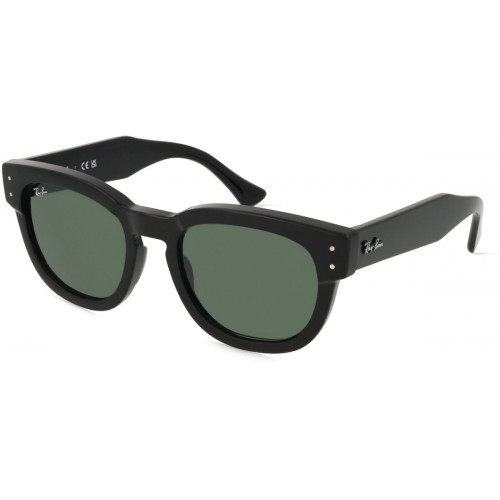 Ray-Ban Mega Hawkeye RB0298S
