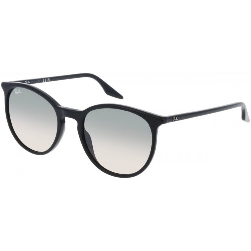 Ray-Ban RB2204