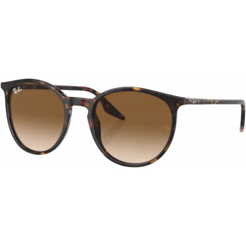 Ray-Ban RB2204