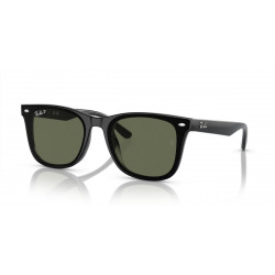 Ray-Ban RB4420
