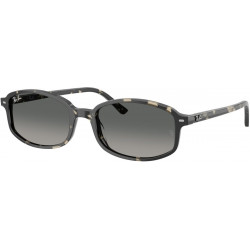 Ray-Ban Sam RB2232