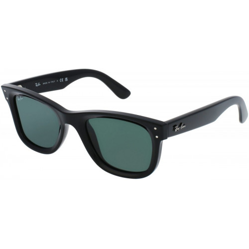 Ray-Ban Wayfarer Reverse RBR0502S