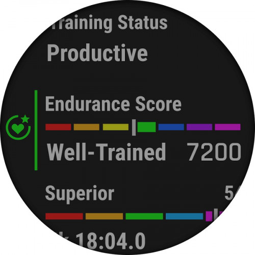 Reloj Garmin Enduro 3