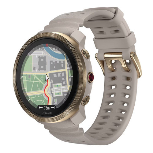 Reloj Smartwatch Vantage M3 S/L Polar Gris / Dorado