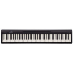 Roland FP-10