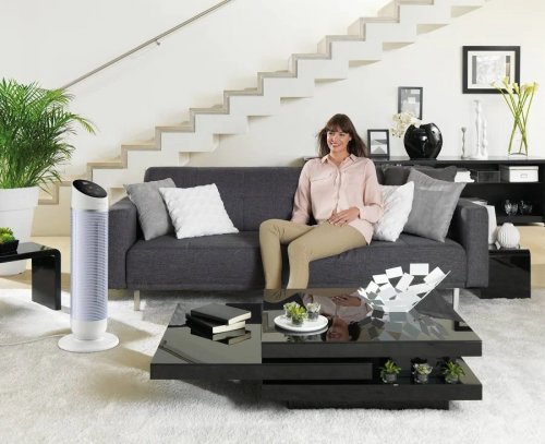 Rowenta Silent Comfort 3-in-1 HQ8120 Interior Plata 2400 W Ventilador eléctrico
