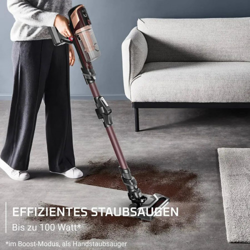 Rowenta X-Pert 6.80 Flex