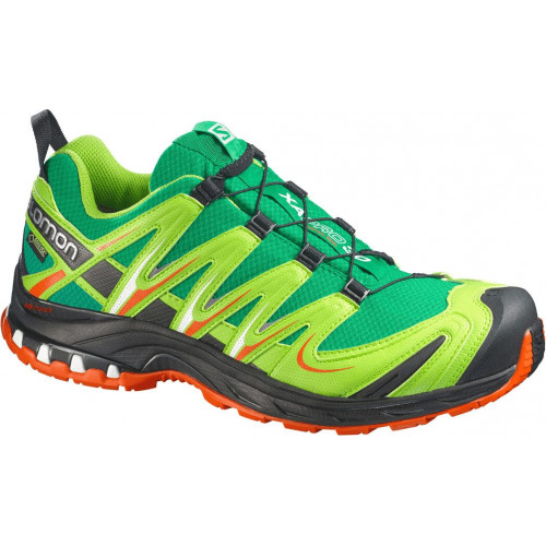Salomon XA Pro 3D GTX