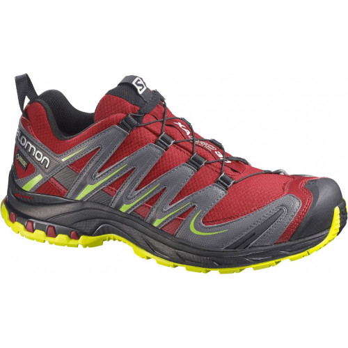 Salomon XA Pro 3D GTX