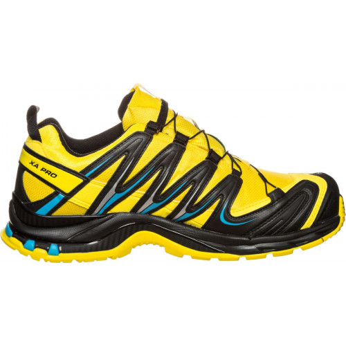 Salomon XA Pro 3D GTX