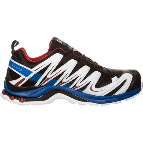 Salomon XA Pro 3D GTX