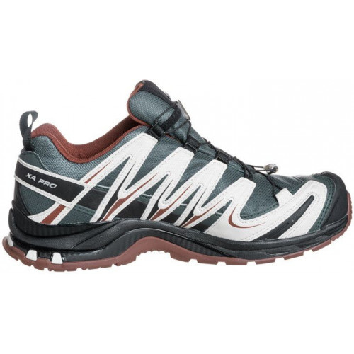 Salomon XA Pro 3D GTX