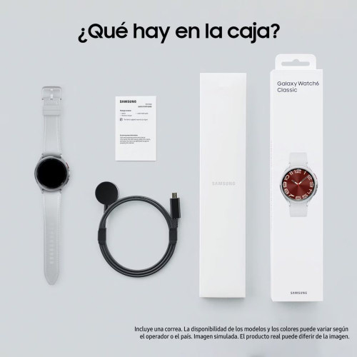 Samsung Galaxy Watch6 Classic 43mm Plata Bluetooth Smartwatch Plata