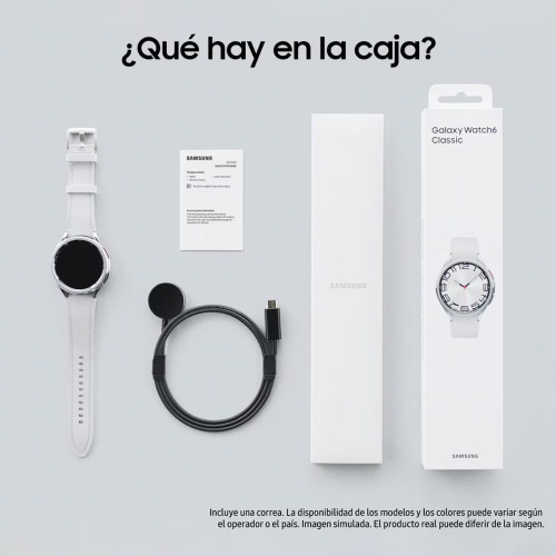 Samsung Galaxy Watch6 Classic 47mm Plata LTE Smartwatch Plata