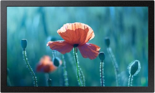 Samsung QB13C 33 cm LCD Wifi 500 cd / m² Full HD