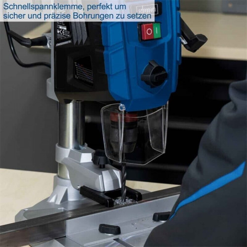 Scheppach DP60