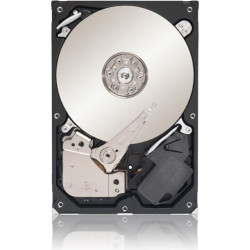 Seagate Barracuda SATA III 2 TB (ST2000DM001)
