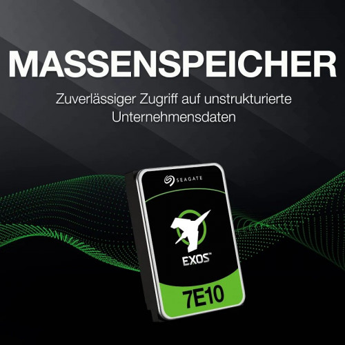 Seagate Exos 7E10 ST6000NM019B Disco Duro