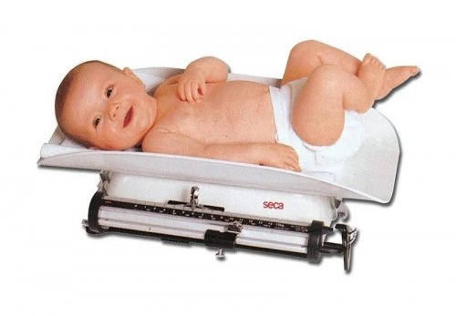 Seca 725 Gima