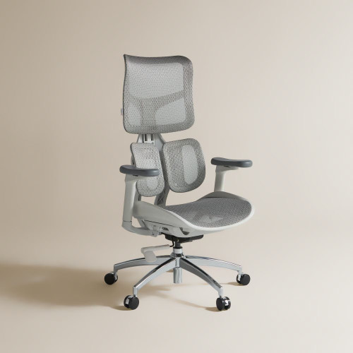 Silla de escritorio con refuerzo lumbar Boston EuroVolter Gris
