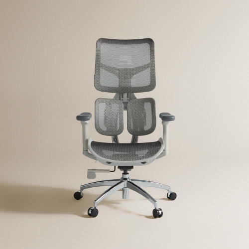 Silla de escritorio con refuerzo lumbar Boston EuroVolter Gris