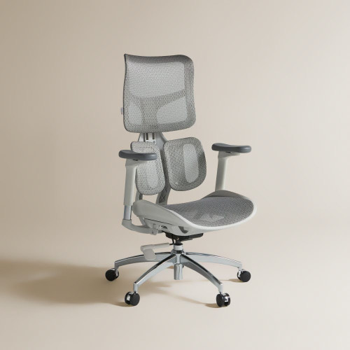 Silla de escritorio con refuerzo lumbar Boston EuroVolter Gris