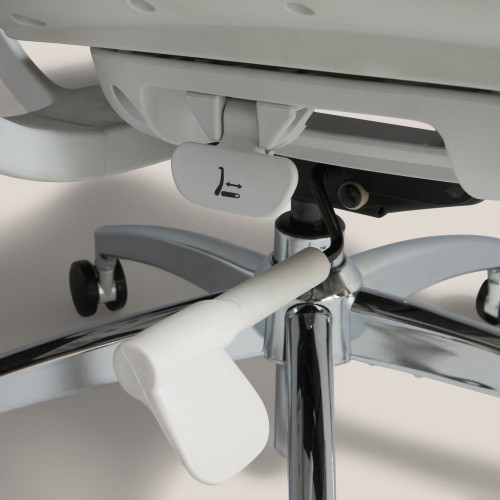 Silla de escritorio con refuerzo lumbar Boston EuroVolter Gris