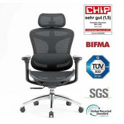 Silla Ergonómica Sihoo Doro C300 Apoyabrazos 3D Soporte Lumbar Autoajustable Malla