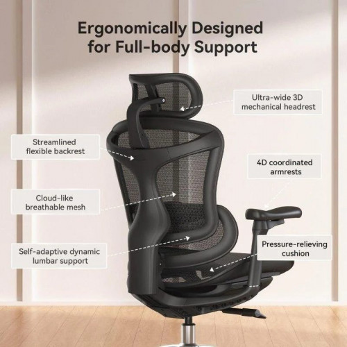 Silla Ergonómica Sihoo Doro C300 Apoyabrazos 3D Soporte Lumbar Autoajustable Malla