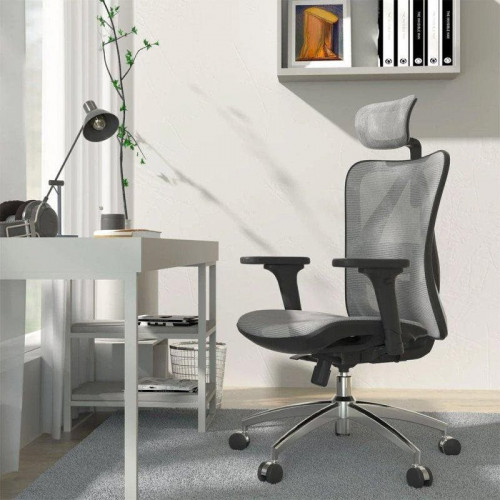 Silla ergonómica Sihoo M57 con soporte lumbar ajustable y reposabrazos 3D, malla transpirable