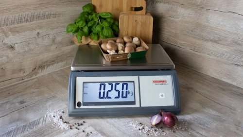 Soehnle Báscula compacta con pantalla grande rango de pesaje hasta 45 kg