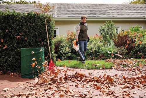 Soplador de batería STIHL BGA 50