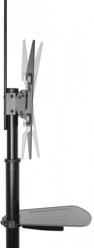 Soporte Móvel Ewent EW1540 37