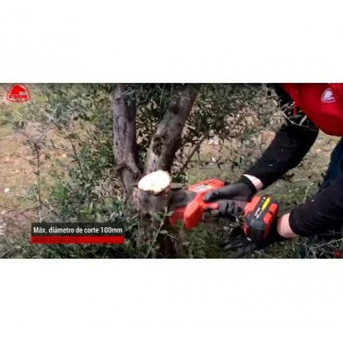 Stayer 'Mini Motosierra PROFESIONAL a Batería de 18V