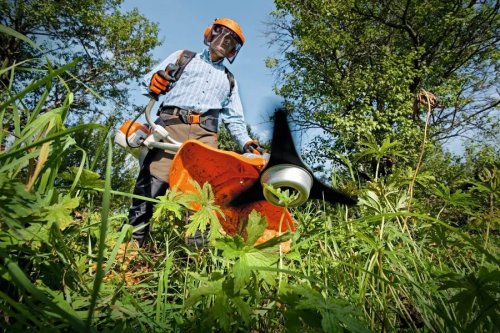 STIHL FS240R 37.7cc Desbrozadora de gasolina cortada 420 mm mango único