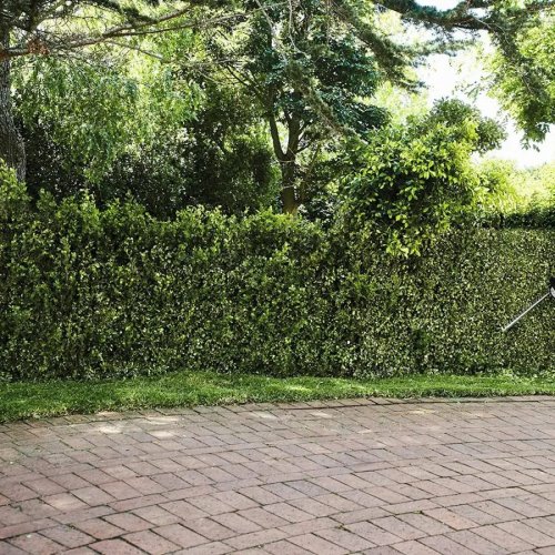 Stihl HSA 50 Cortasetos de batería