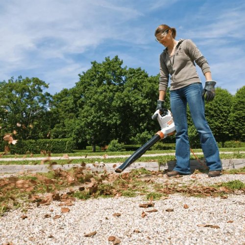 Stihl Soplador BGE 81