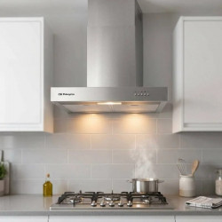SUINGA Campana Decorativa Inox orbegozo Clase Energética D