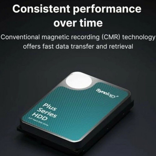 Synology Disco Duro Interno SATA