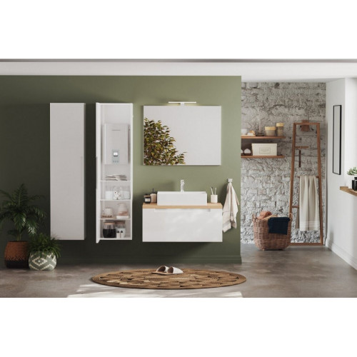 Thermoflow ELEX 21