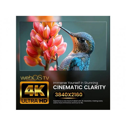 TV LED 43'' Q.2 4K UHD 3840x2160