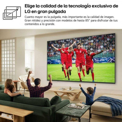 TV LG QNED EVO AI 43QNED81B6C 43