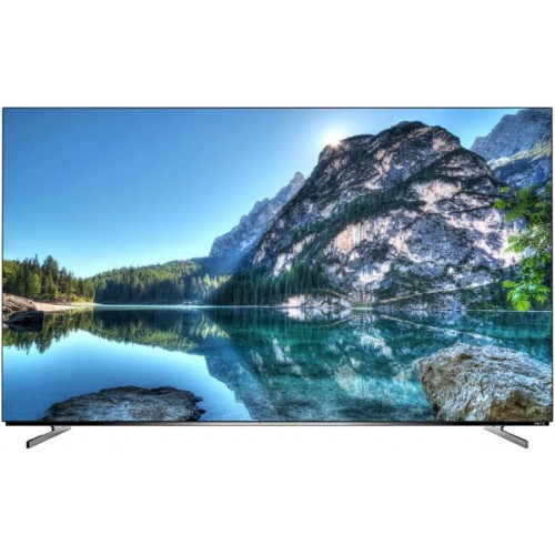 TV Metz 55