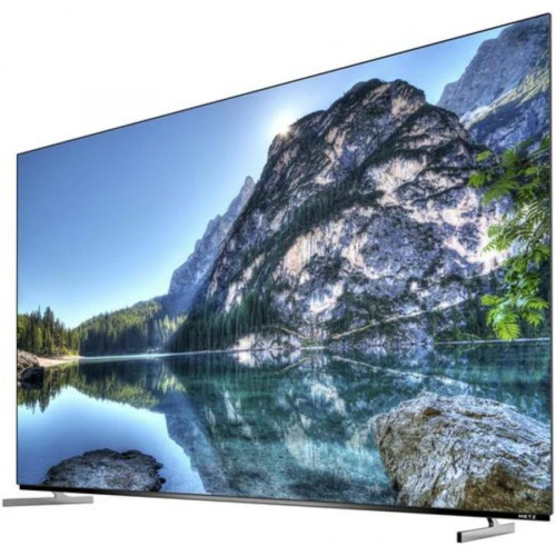 TV Metz 55