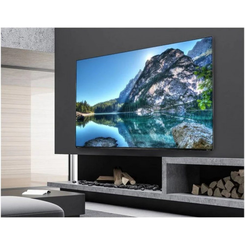 TV Metz 55