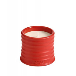Vela Aromática Tomato Leaves Loewe