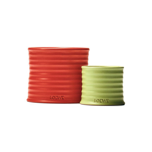 Vela Aromática Tomato Leaves Loewe