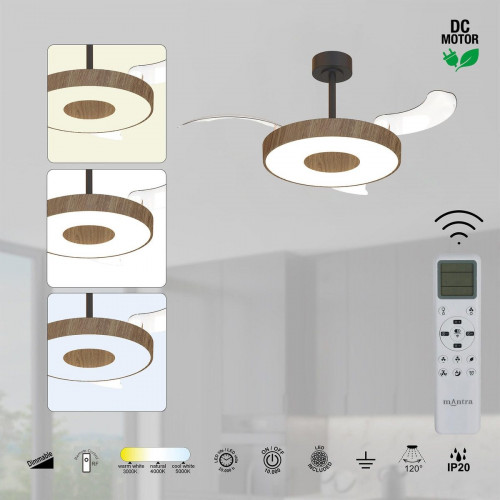 Ventilador de techo con luz silencioso DC 30W con mando ø106 cm Coin Fan Smart MANTRA marrón y negro luz CCT 3 aspas retráctiles tipo lámpara| 8 velocidades| modo verano/invierno| brisa| recomendado de 13 a 20m²