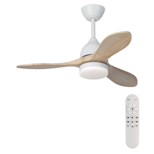 Ventilador de techo TERRA ST-CF2521